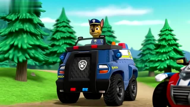 汪汪队立大功:波特先生卡在树洞里,阿奇的警车派上用场了