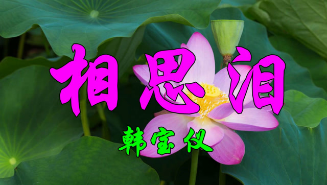 韩宝仪一首怀旧情歌《相思泪》句句伤感,令人心碎