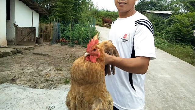 农民工川哥:亲戚来家里看望我母亲,杀只养了3年多的老母鸡招待