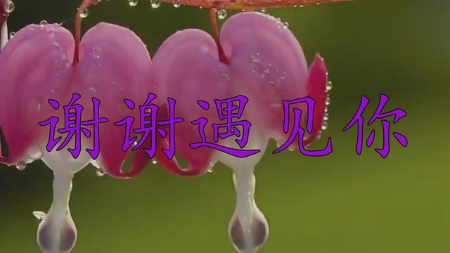 高安献唱《谢谢遇见你》,这首歌曲,令人赞不绝口