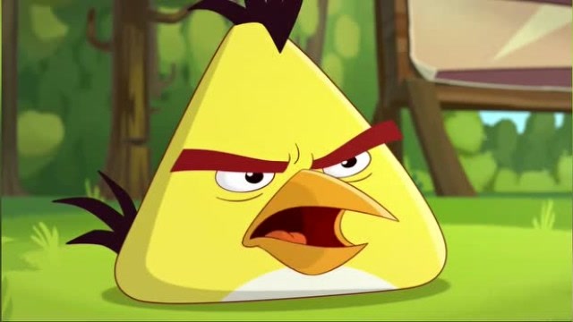 愤怒的小鸟:飞镖黄为了和绿皮猪决斗,自己苦苦练习各种本领