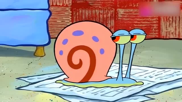 海绵宝宝带回来一个新伙伴,小蜗竟然生气了!