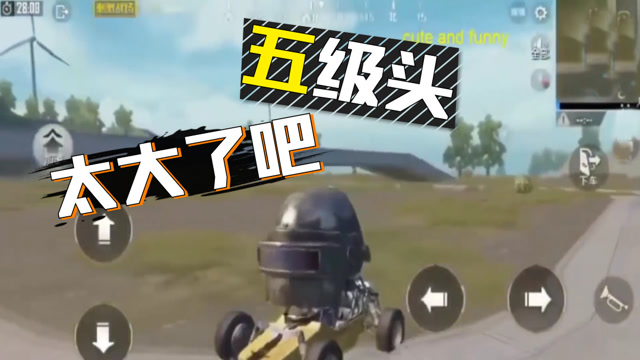 绝地求生刺激战场:遇到五级头,比房子还大,10把awm都打不破!