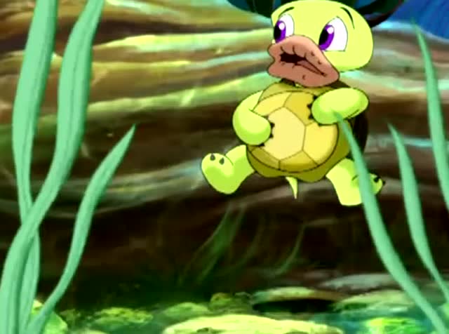 《小鲤鱼历险记》双面龟吃了泡泡找来的草,嘴肿成两个香肠了