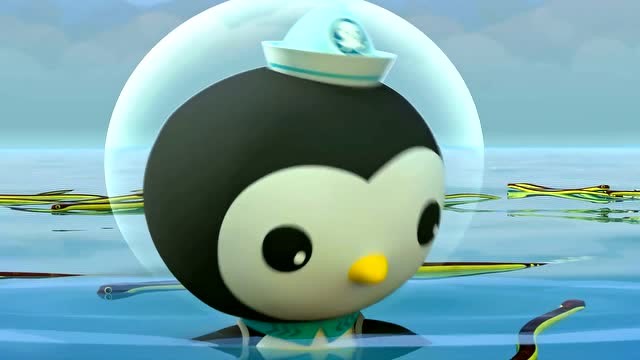 海底小纵队:黄腹海蛇们在海底小纵队的帮助下,全都回到海里了