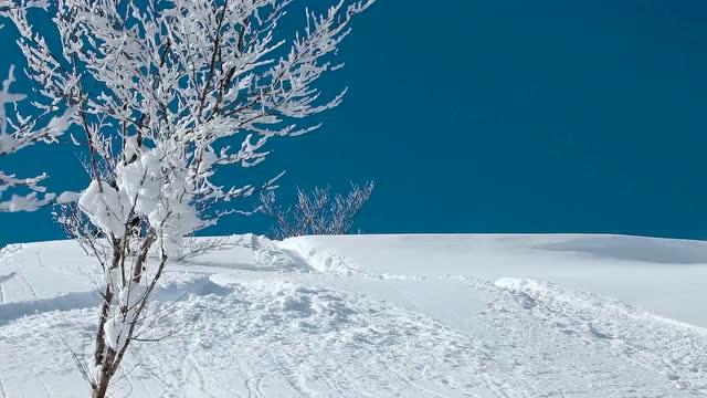 【解药旅行】夏油高原 geto kogen 石川敦士