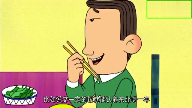 大耳朵图图,开饭了,图图该吃饭了