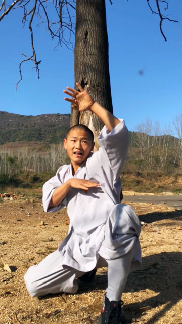 少林象形拳猴拳