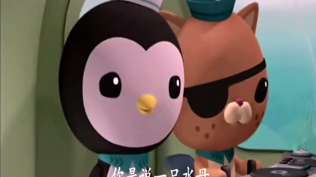 海底小纵队:这个长得像果冻像皮球的动物是什么?原来它叫梳果冻