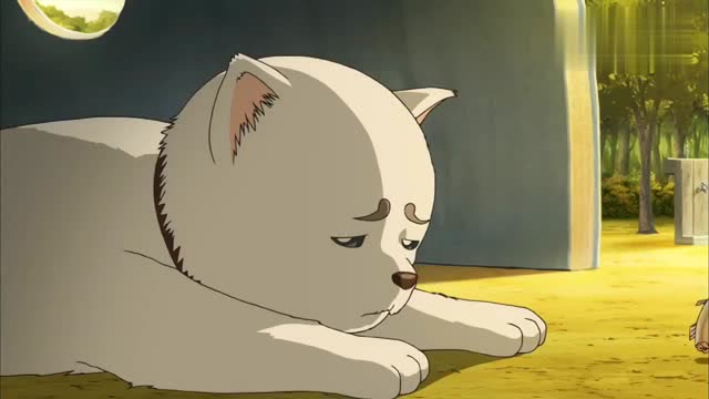 银魂:定春饥饿难忍,它突然给了定春大半条鱼,感动哭了