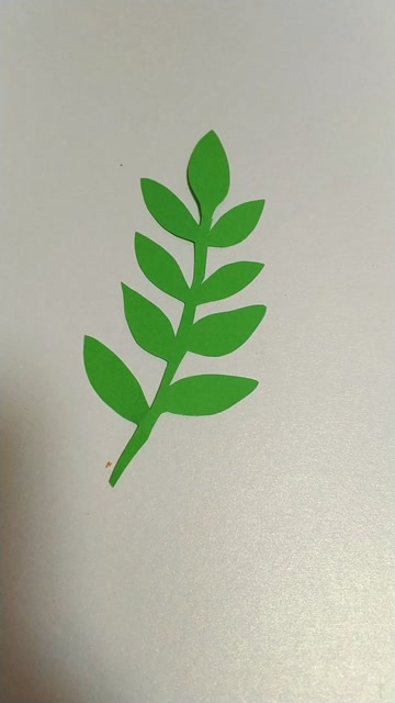 简易剪纸叶子