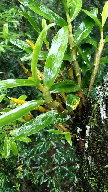 腾讯网