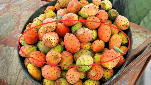 农村1果,是特效"痔疮药",熬汤喝,消肿止痛,肉球消失不动刀!