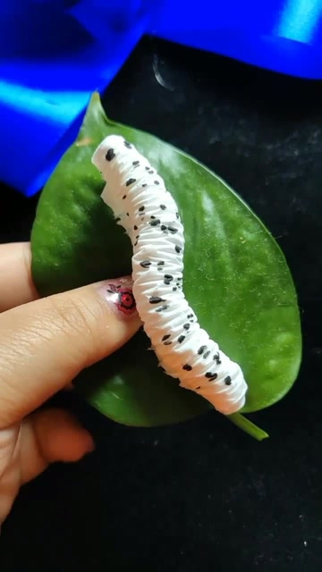 卫生纸做蚕宝宝,这也太像了