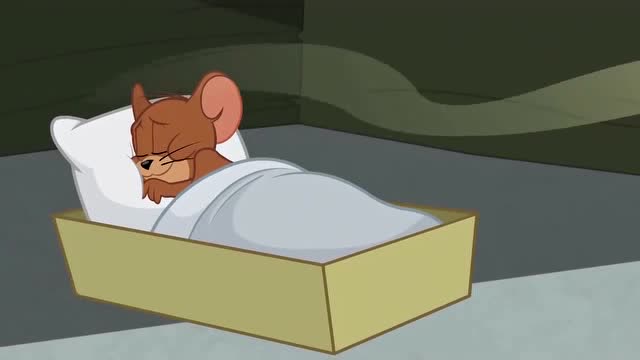 猫和老鼠:说睡着就能睡着,这样的生活真好