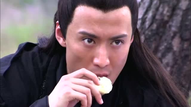 错点鸳鸯:苏幻儿随石无忌去傲龙堡,路上晕车,被众人笑话!