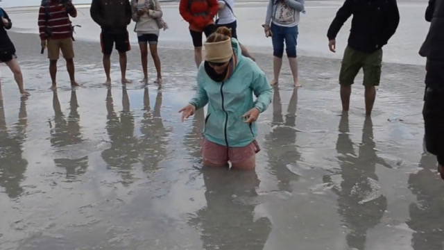 陷入沼泽地怎么办?乱动指挥让你越陷越深,用流沙来告诉你对策