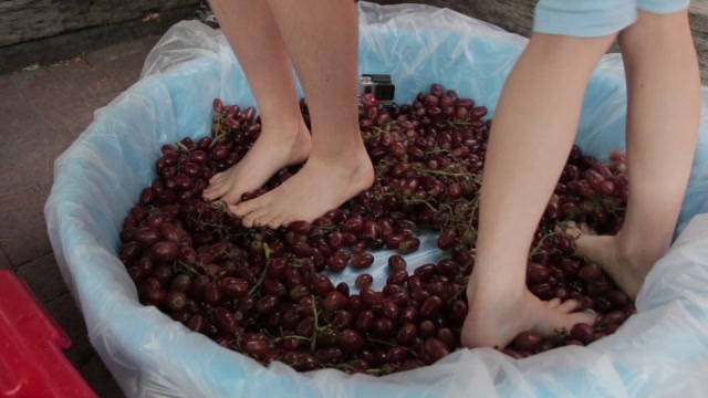 真正顶级的葡萄酒都是少女用脚踩出来的看完你还敢喝吗