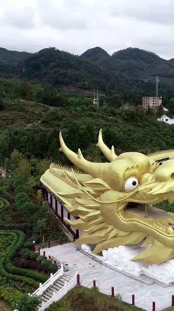 贵州大山发现一条巨大长龙,竟然长达999米,盘踞在乌江边上