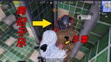 和平精英：决赛圈和人机同归于尽，看吃鸡花落谁家
