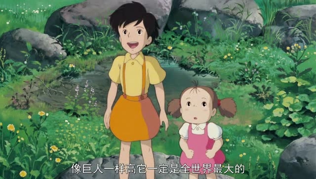 龙猫:原来大树的名字叫樟树,小月还是第一次见到这么大的树!