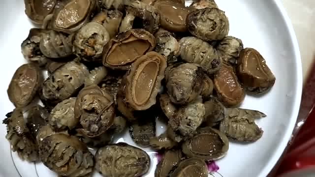 小钦今天教大家怎么把石鳖弄来吃,大家一起学着,味道超赞!