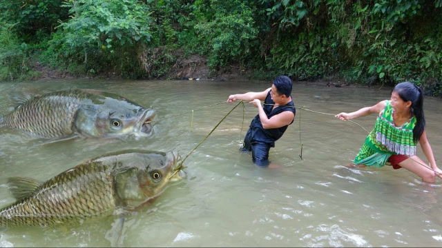 荒野求生:用藤条制作捕鱼陷阱,技多不压身这下有烤鱼吃了