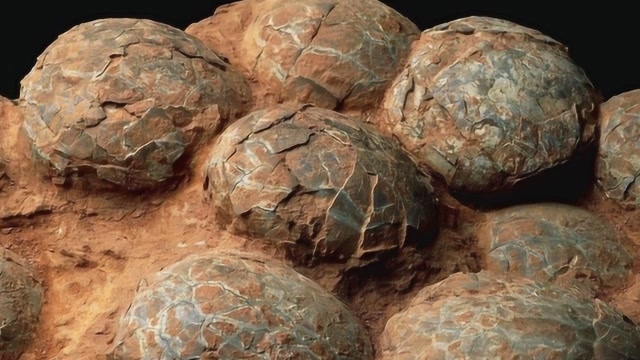 小男孩玩泥巴,掏出11枚6500年恐龙蛋!专家鉴定目瞪口呆