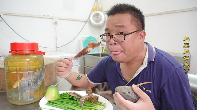 肥仔又吃清道夫了:这次是清道夫,外加苦胆,这是什么暗黑吃法呢