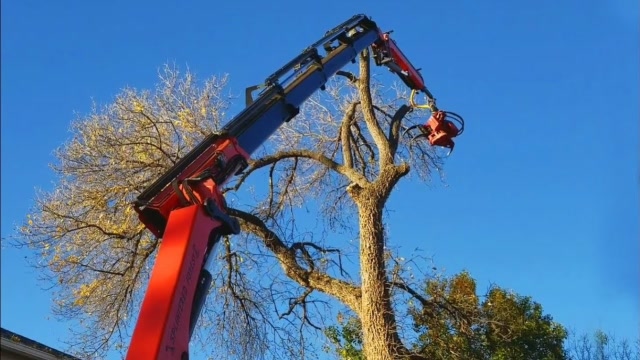 现代长距离砍树车最令人满意的砍树机