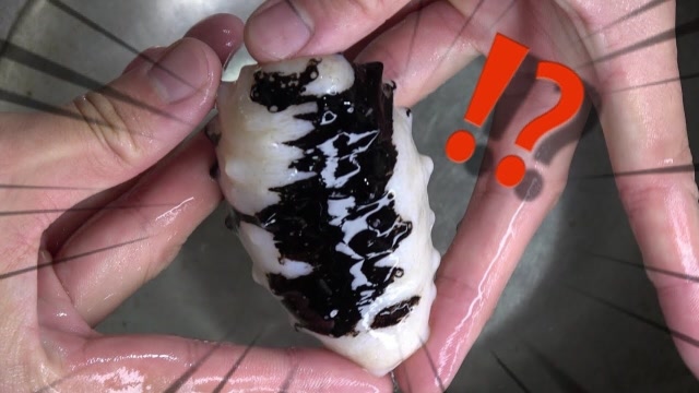 小伙买回"变异"海参,一刀切开全傻眼,网友:还敢生吃就服你!