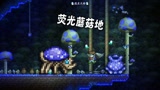 天铭 泰拉瑞亚 1.4 最后的旅途 10 荧光蘑菇地中的无尽宝藏