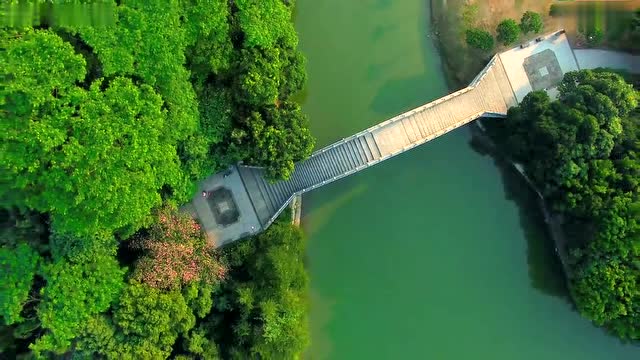 顺峰山公园航拍即剪_高清