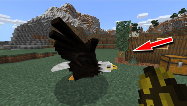 我的世界:未来的新生物老鹰登场?怎么感觉比史蒂夫还大!