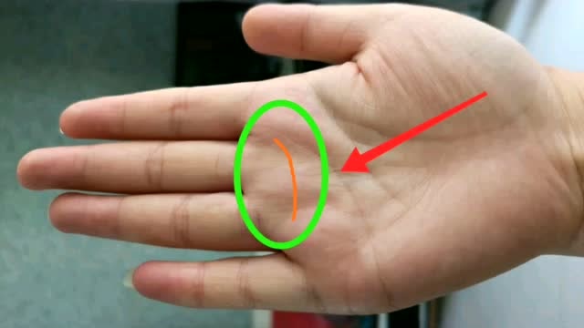 令人羡慕的理财纹,偏财不断的手相