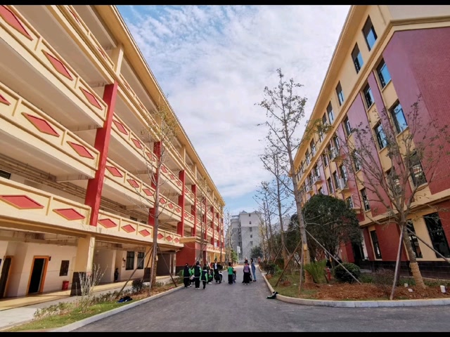 岳阳市珍珠山小学图片