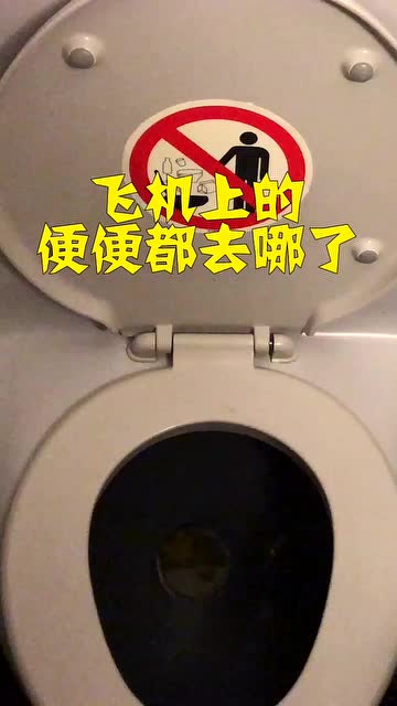 飞机厕所如何排便,飞机上的大便都去哪儿了
