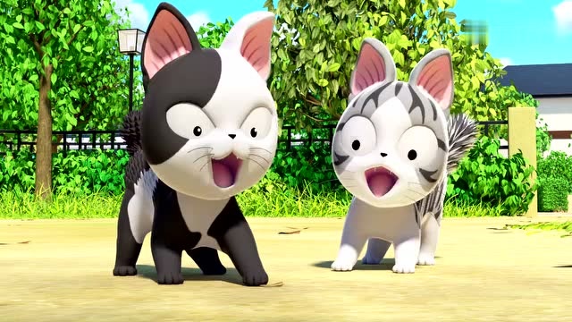 《甜甜私房猫》可奇和小奇比赛,谁厉害呢