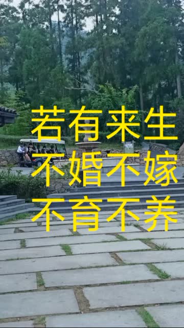 若有来生,不婚不嫁,不育不养,不做谁的妻不为谁的娘,只做自家女,养