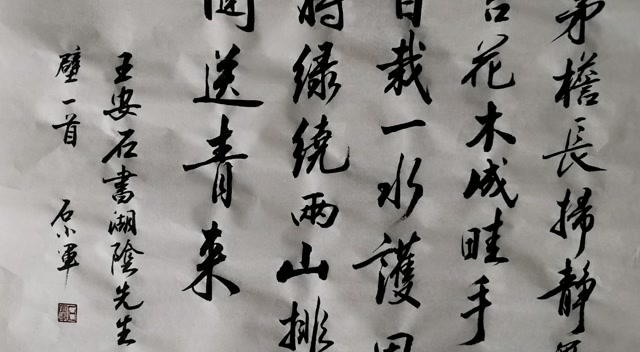 每日一练书王安石诗书湖阴先生壁一首