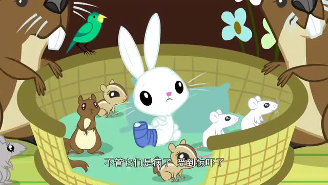 小马宝莉:小马想要建立动物收容所,这个能成功吗