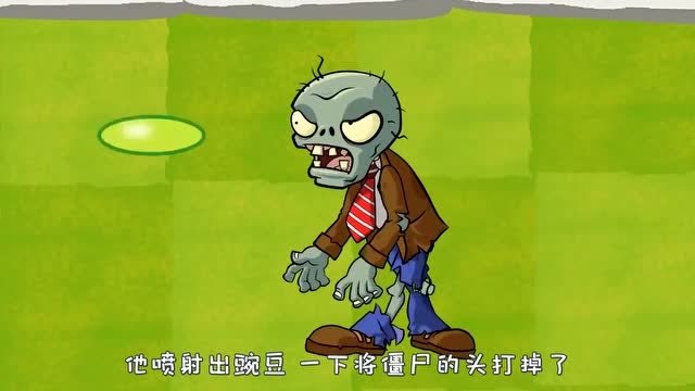 豌豆射手中毒黑化,太阳花没有了保护伞,幸好小坚果从天而降