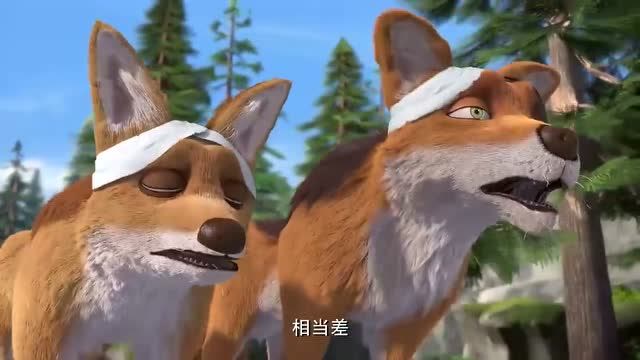 熊出没:俩只豺带熊大他们走悬崖,没成想落石居然把自己砸伤了