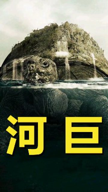 黄河巨龟的传说:1965年黄河巨龟到底是怎么回事?(中)