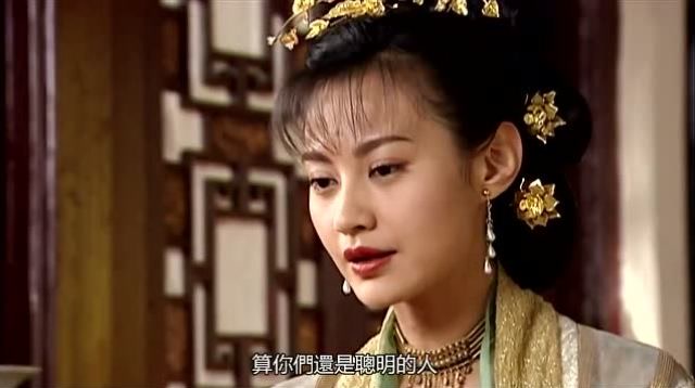 江玉燕阴险歹毒皇上却非常宠爱江玉燕把江玉燕的儿子立为太子