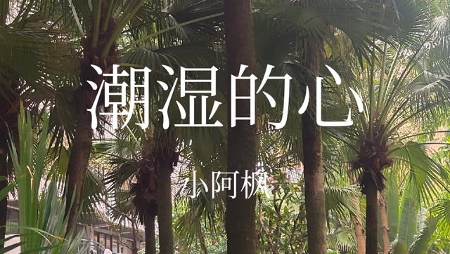 小阿枫翻唱的一首《潮湿的心》,声音独特,胜过原唱
