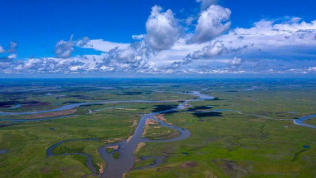 科学考察队深入泰莱湖,寻找世界上最大的蛇