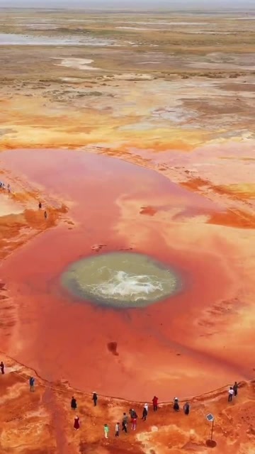 沙漠里的泉眼,太壮观了