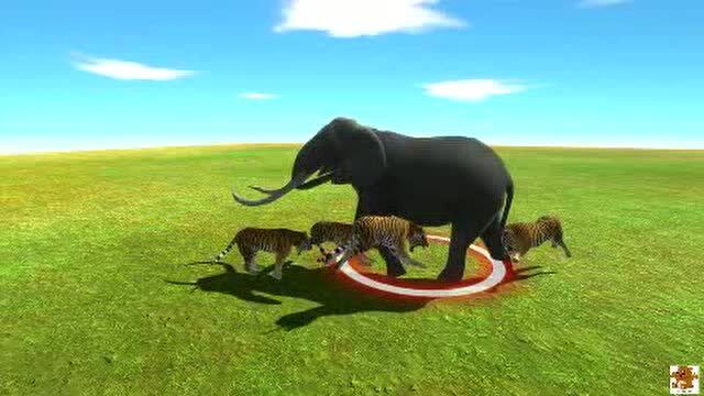 1头大象遭遇3只老虎的围攻,大象能不能杀出重围?结局真是意外