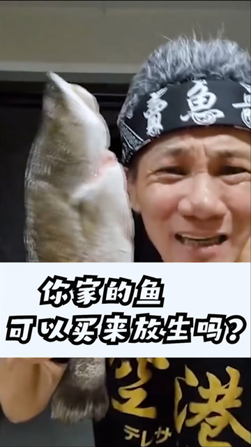 盘点那些卖鱼哥直播时网友提问的奇葩问题